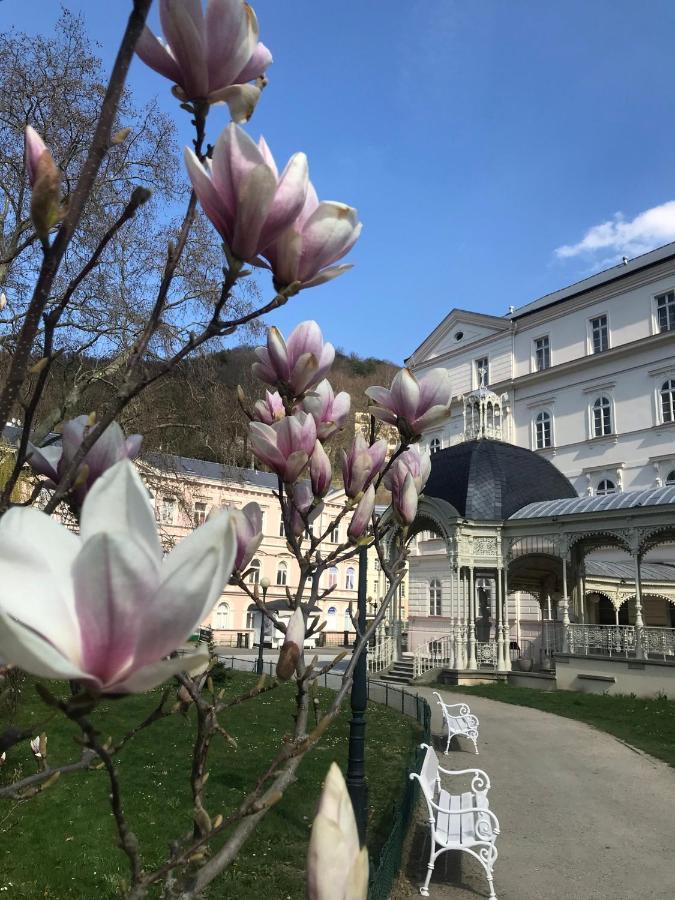 Apartment Sadova Karlovy Vary Exterior photo